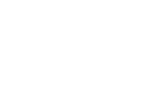Saddle logo 
